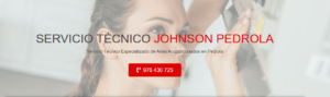 Servicio Técnico Johnson Pedrola 976553844