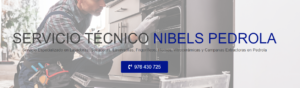 Servicio Técnico Nibels Pedrola 976553844