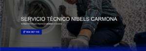 Servicio Técnico Nibels Carmona 954341171