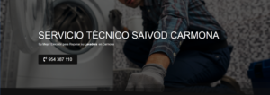 Servicio Técnico Saivod Carmona 954341171
