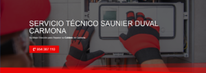 Servicio Técnico Saunier Duval Carmona 954341171