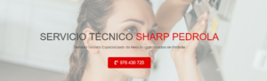 Servicio Técnico Sharp Pedrola 976553844
