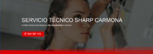 Servicio Técnico Sharp Carmona 954341171