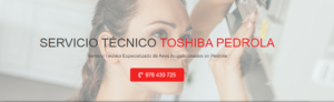 Servicio Técnico Toshiba Pedrola 976553844