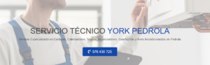 Servicio Técnico York Pedrola 976553844