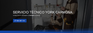 Servicio Técnico York Carmona 954341171