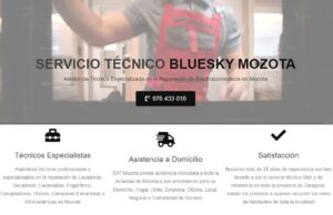 Servicio Técnico Bluesky Mozota 976553844