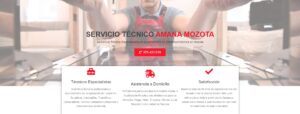 Servicio Técnico Amana Mozota 976553844
