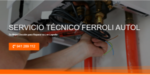 Servicio Técnico Ferroli Autol 941229863