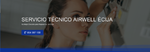 Servicio Técnico Airwell Écija 954341171