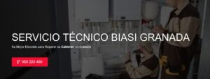 Servicio Técnico Biasi Granada 958210644