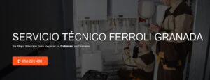 Servicio Técnico Ferroli Granada 958210644