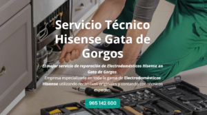 Servicio Técnico Hisense Gata de Gorgos 965217105