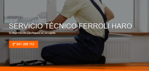 Servicio Técnico Ferroli Haro 941229863