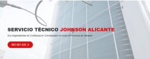 Servicio Técnico Johnson Alicante 965217105