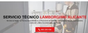 Servicio Técnico Lamborghini Alicante 965217105