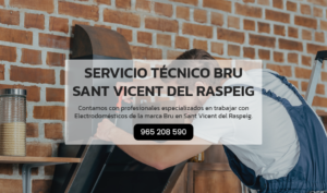 Servicio Técnico Bru Sant Vicent del Raspeig 965217105