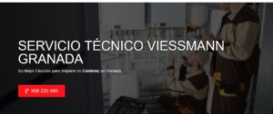 Servicio Técnico Viessmann Granada 958210644