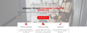 Servicio Técnico Viessmann Torres de Berrellén 976553844