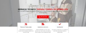 Servicio Técnico Toshiba Torres de Berrellén 976553844
