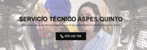 Servicio Técnico Aspes Quinto 976553844