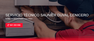 Servicio Técnico Saunier Duval Cenicero 941229863