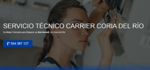 Servicio Técnico Carrier Coria del Río 954341171