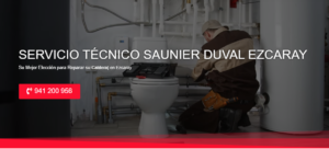 Servicio Técnico Saunier Duval Ezcaray 941229863