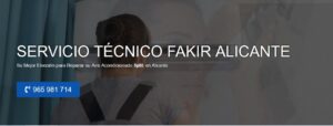 Servicio Técnico Fakir Alicante 965217105