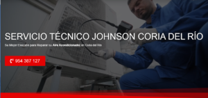 Servicio Técnico Johnson Coria del Río 954341171