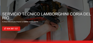 Servicio Técnico Lamborghini Coria del Río 954341171