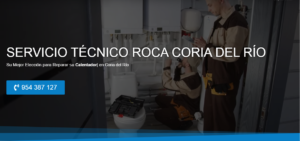 Servicio Técnico Roca Coria del Río 954341171