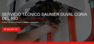 Servicio Técnico Saunier Duval Coria del Río 954341171