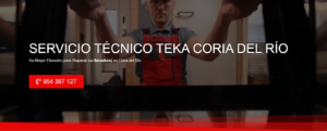 Servicio Técnico Teka Coria del Río 954341171