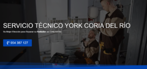 Servicio Técnico York Coria del Río 954341171