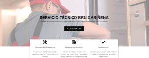 Servicio Técnico Bru Cariñena 976553844