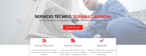 Servicio Técnico Toshiba Cariñena 976553844