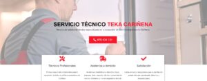 Servicio Técnico Teka Cariñena 976553844