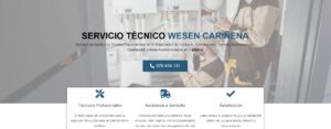 Servicio Técnico Wesen Cariñena 976553844