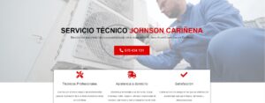 Servicio Técnico Johnson Cariñena 976553844