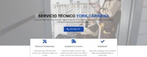 Servicio Técnico York Cariñena 976553844