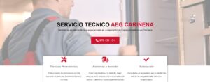 Servicio Técnico Aeg Cariñena 976553844