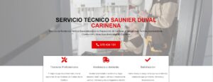 Servicio Técnico Saunier Duval Cariñena 976553844