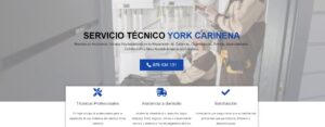 Servicio Técnico York Cariñena 976553844