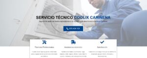 Servicio Técnico Coolix Cariñena 976553844