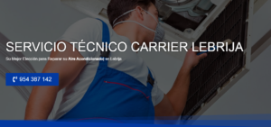 Servicio Técnico Carrier Lebrija 954341171