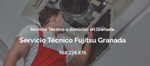 Servicio Técnico Fujitsu Granada 958210644