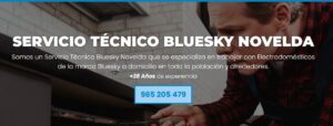 Servicio Técnico Bluesky Novelda 965217105