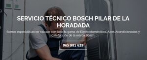 Servicio Técnico Bosch Pilar de la Horadada 965217105