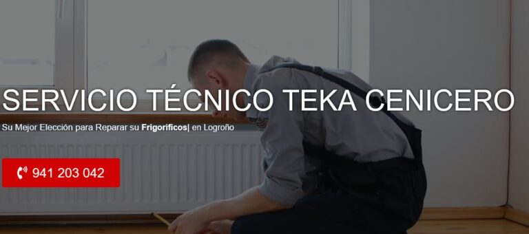 Servicio Técnico Teka Cenicero 941229863